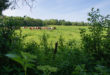 Camping La Prairie
